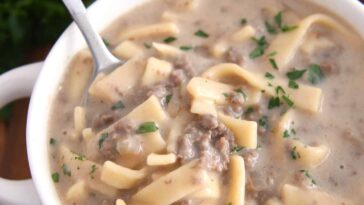 Easy Beef Stroganoff Soup – Mel’s Kitchen Cafe