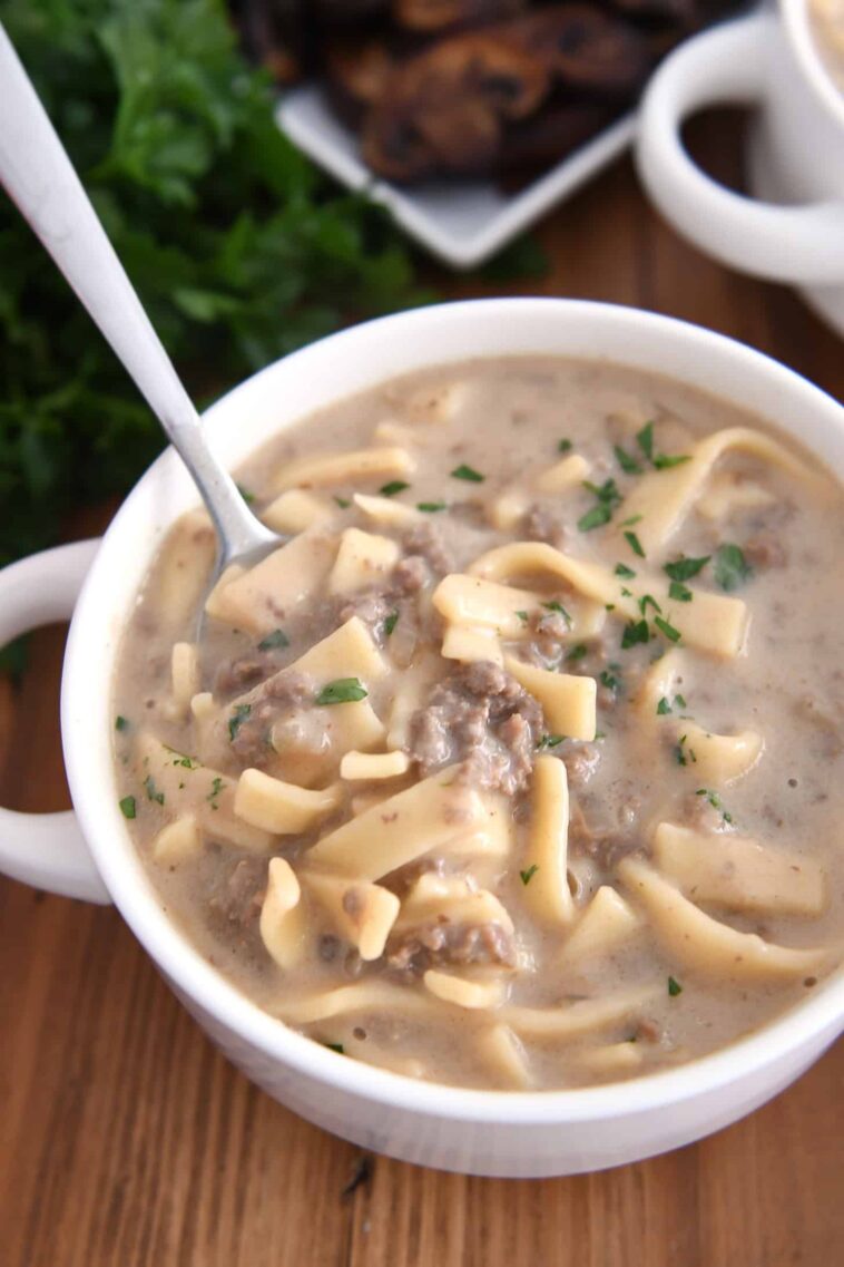 Easy Beef Stroganoff Soup – Mel’s Kitchen Cafe