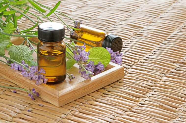 Strengthen Your Nails and Replenish Your Hair and Skin This Winter