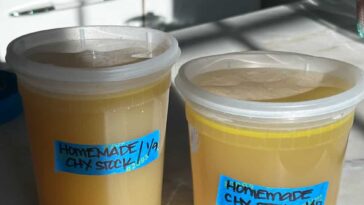 Homemade Chicken Stock – A Cozy Kitchen