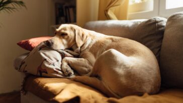 Have a Restful Weekend. | Cup of Jo