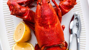 How to Boil Lobster | The Recipe Critic