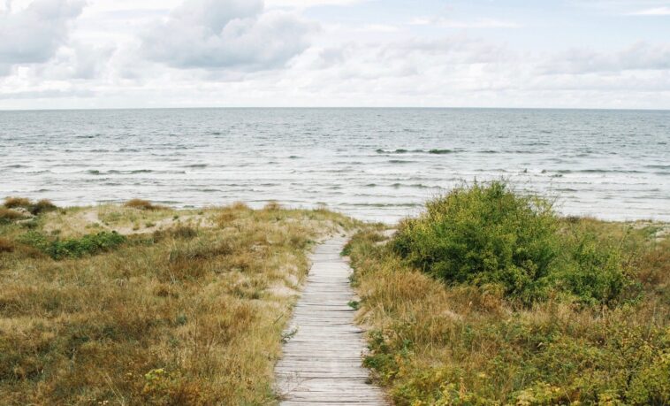 Our Edit: Old Navy’s Summer Sale