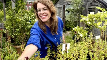 Four Fun Things | Cup of Jo