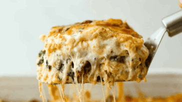 Creamy Marry Me Lasagna Recipe| The Recipe Critic